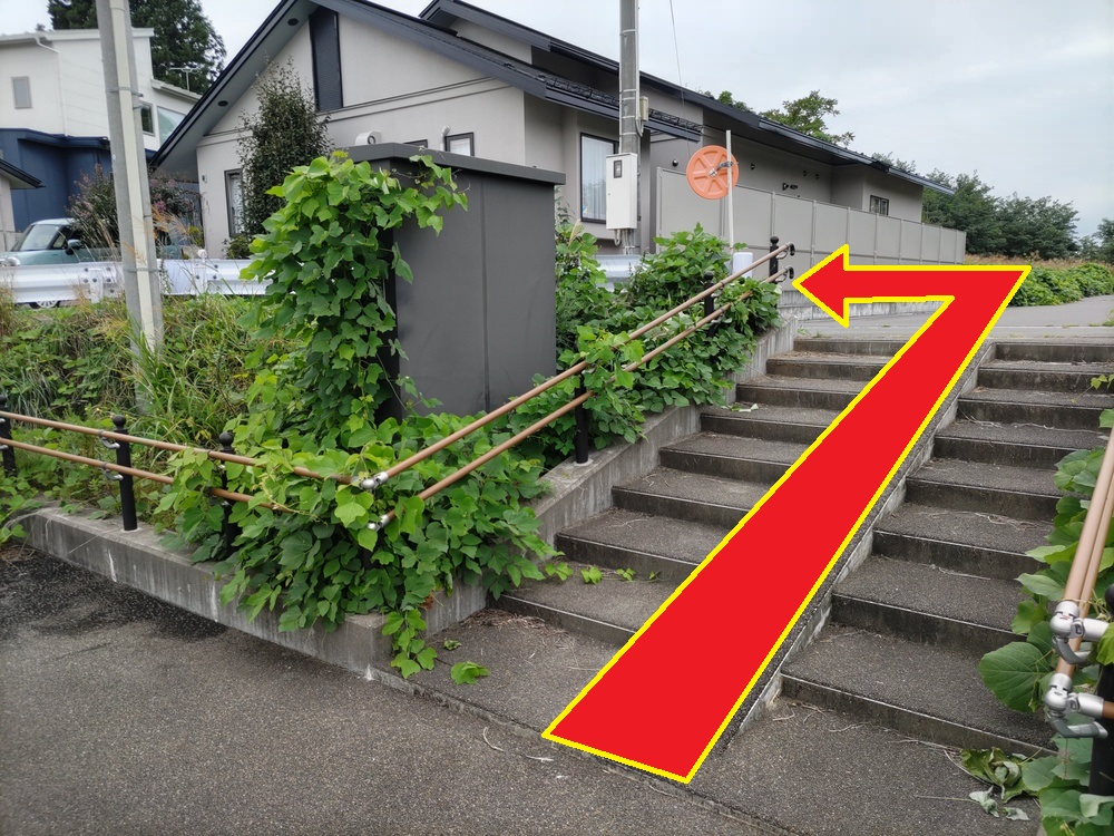 上りきりましたら、左側へ進みます