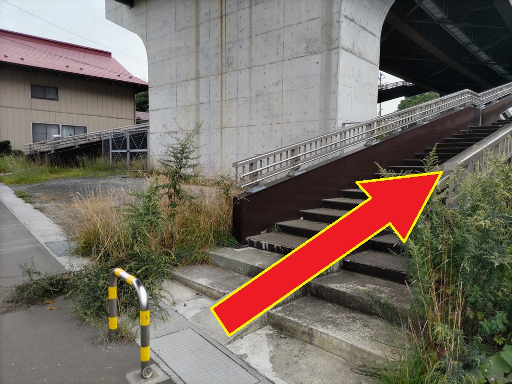 高架道路につながる階段を上ります